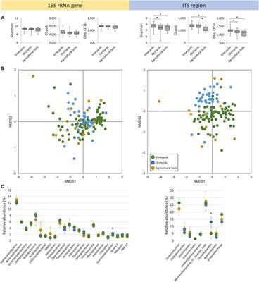 Unraveling the Complexity of Soil Microbiomes in a Large-Scale Study Subjected to Different Agricultural Management in Styria